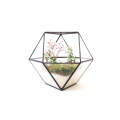 Round Clear Geometric Square Glass Hanging Terrarium